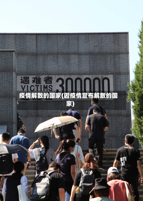 疫情解散的国家(因疫情宣布解散的国家)-第2张图片